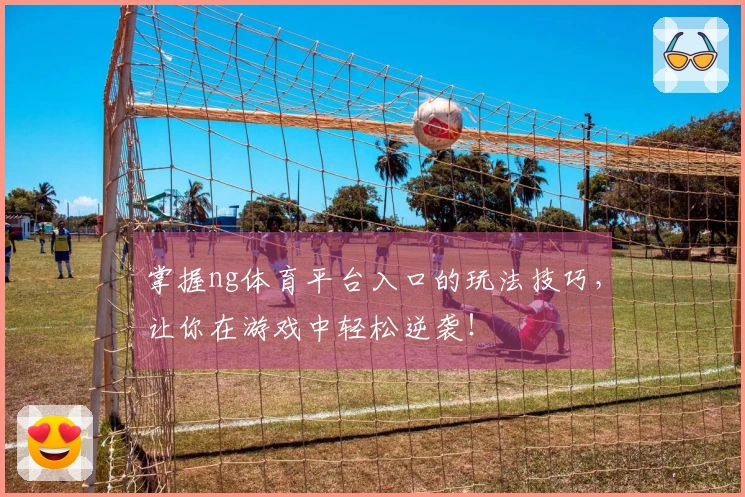 掌握ng体育平台入口的玩法技巧，让你在游戏中轻松逆袭！