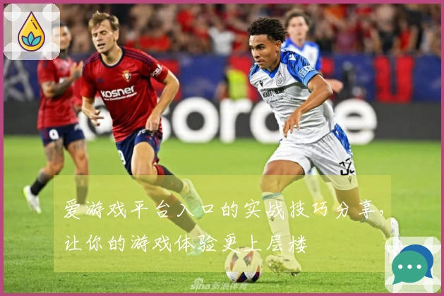 爱游戏平台入口的实战技巧分享，让你的游戏体验更上层楼