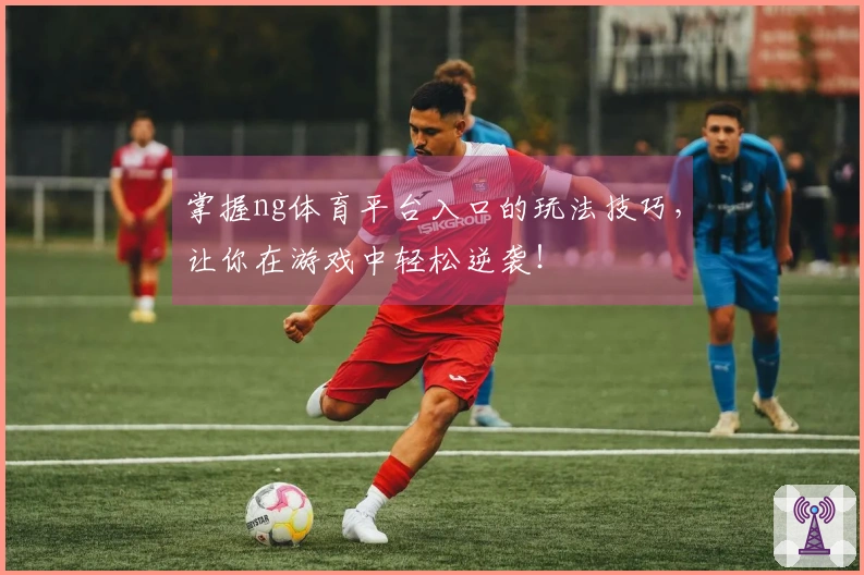 掌握ng体育平台入口的玩法技巧，让你在游戏中轻松逆袭！