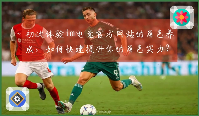 初次体验im电竞官方网站的角色养成，如何快速提升你的角色实力？