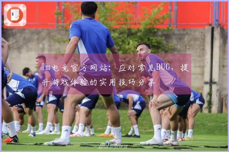 im电竞官方网站：应对常见BUG，提升游戏体验的实用技巧分享